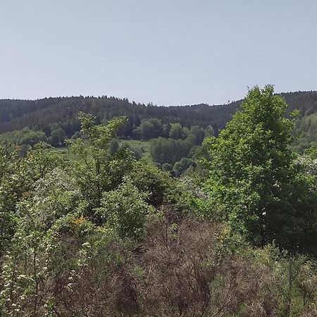 Sessles Waldhaeusschen Dietzhausen Suhl Esterno foto