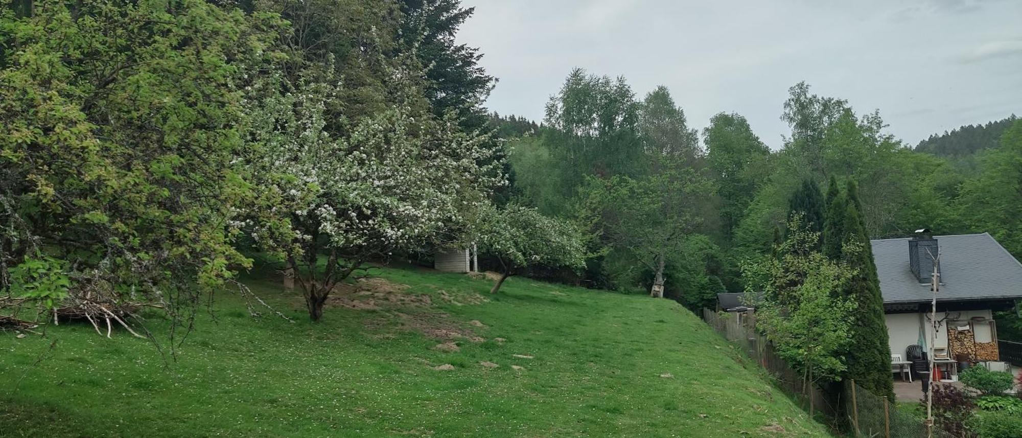 Sessles Waldhaeusschen Dietzhausen Suhl Esterno foto