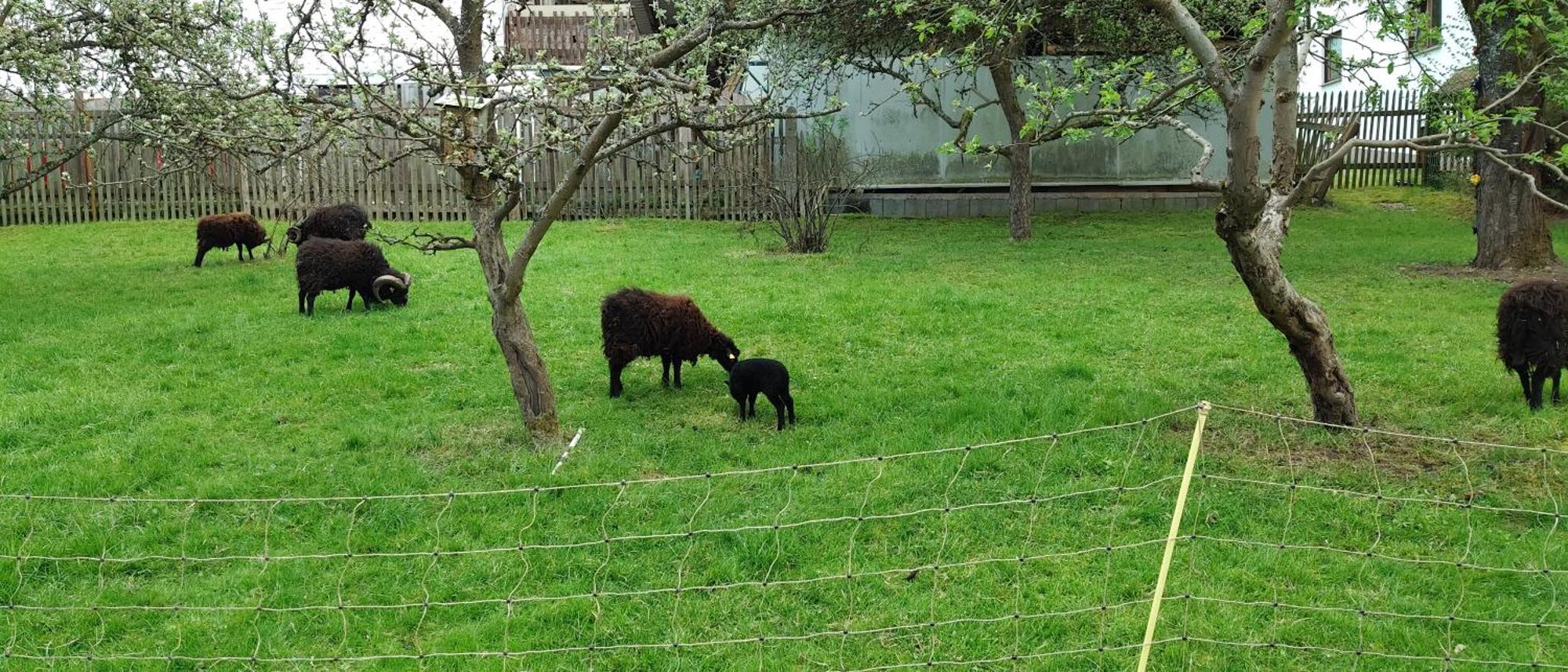 Sessles Waldhaeusschen Dietzhausen Suhl Esterno foto