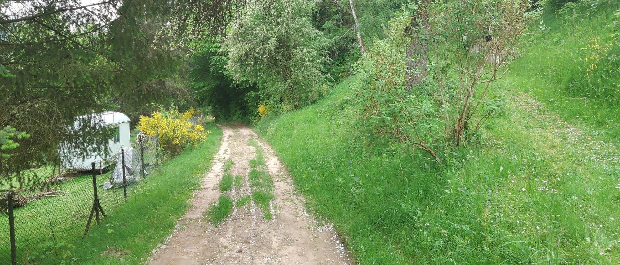 Sessles Waldhaeusschen Dietzhausen Suhl Esterno foto
