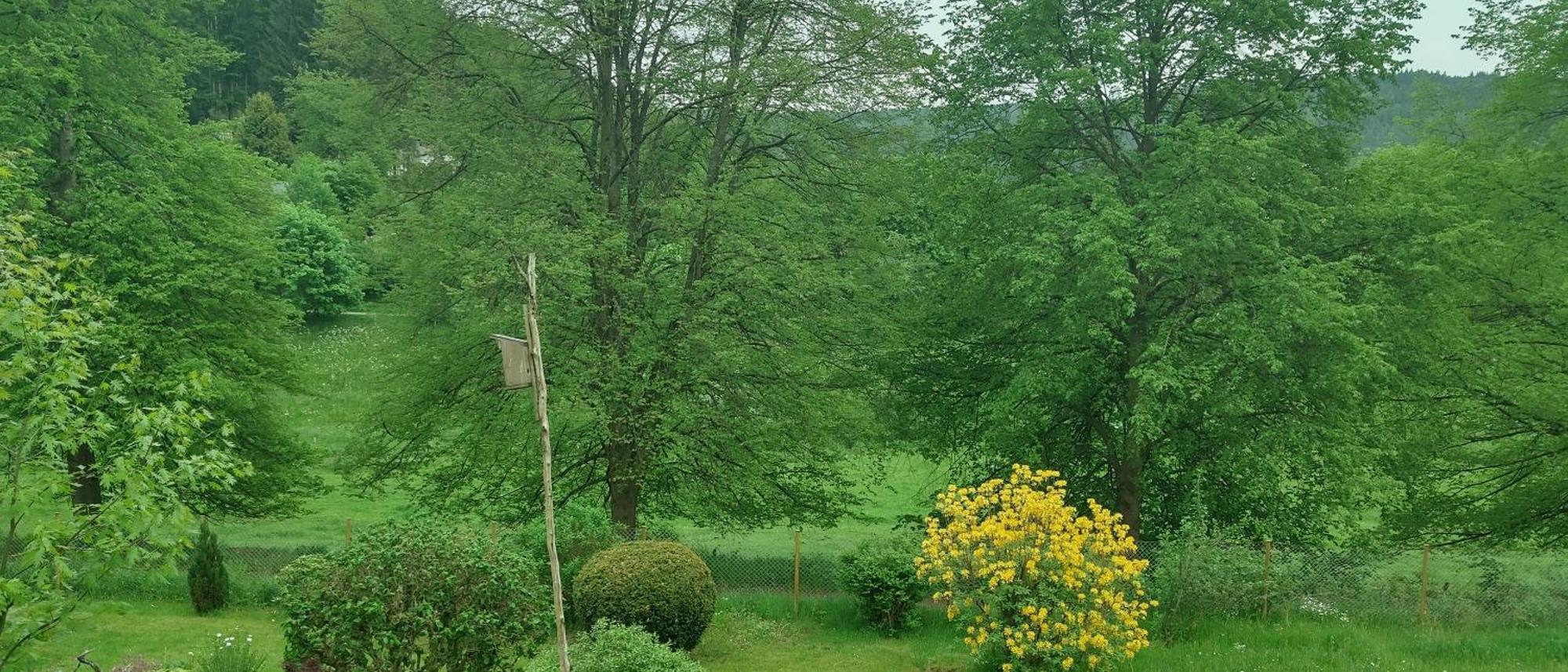 Sessles Waldhaeusschen Dietzhausen Suhl Esterno foto